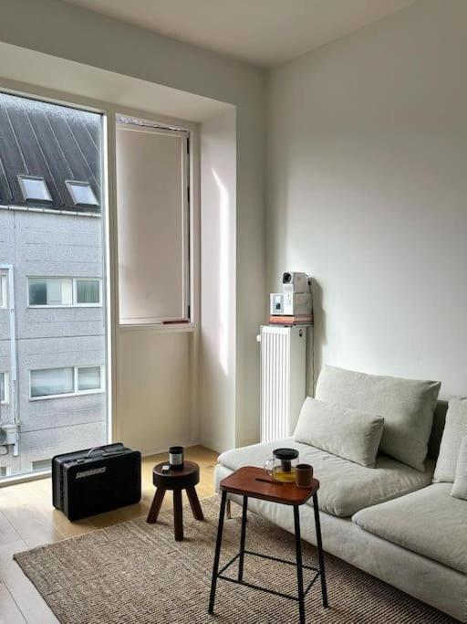 Cozy Leilighet *